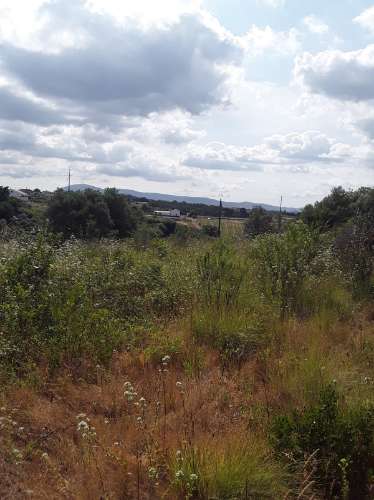 Terreno ideal para habitação sustentável.