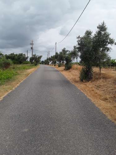 Terreno ideal para habitação sustentável.