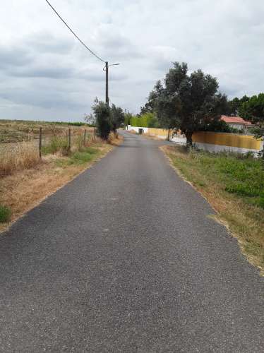 Terreno ideal para habitação sustentável.