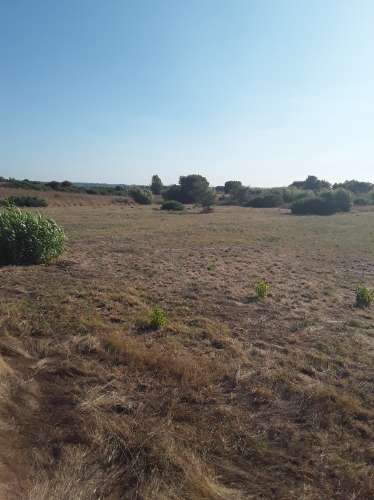 Rústico no Cartaxo com 6900 m2