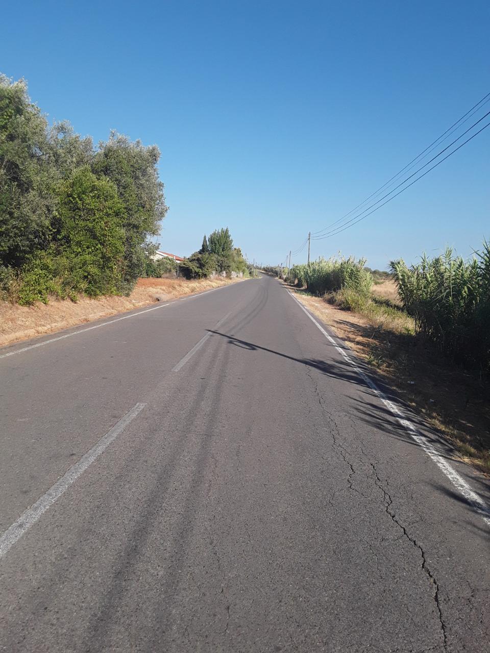 Rústico no Cartaxo com 6900 m2