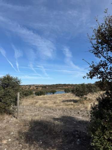 MOURÃO: 8 Kms, 21,6 hectares banhados pelo ALQUEVA (P/ 2 ancoradouros + casão 300 m2!