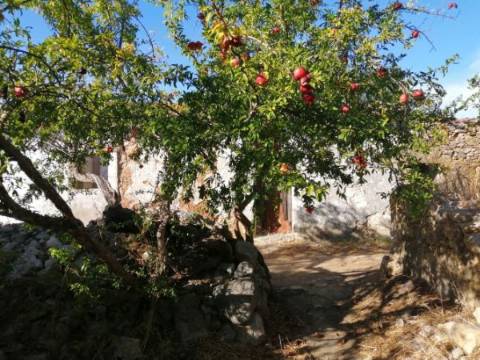 Projeto Aprovado, Ruína para recuperar com terreno de 13.480m2