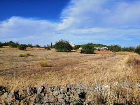 Projeto Aprovado, Ruína para recuperar com terreno de 13.480m2