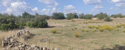 Projeto Aprovado, Ruína para recuperar com terreno de 13.480m2