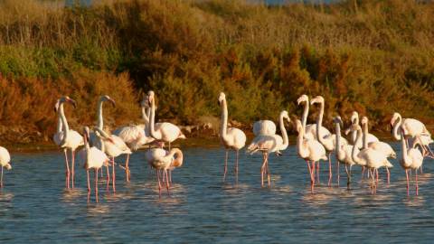 Novo Apartamento T3 1º piso