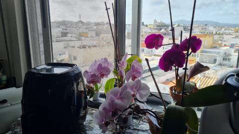 Apartamento usado T2+1 à venda na Fuseta