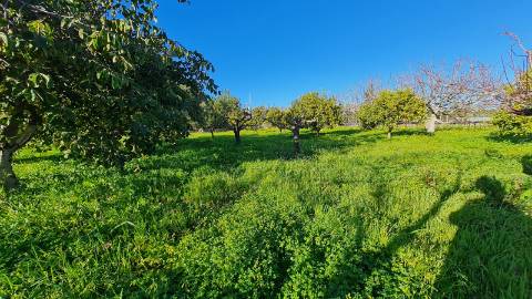 Quinta com duas casas á venda em St. Estêvâo Tavira