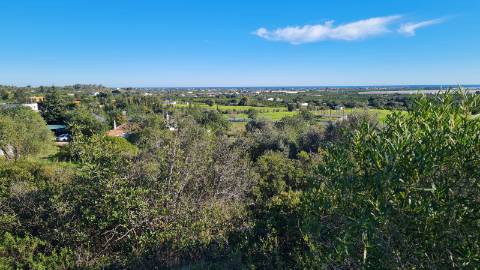 Quinta com duas casas á venda em St. Estêvâo Tavira