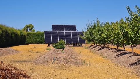 Moradia T3 +1 à venda na tranquila Luz de Tavira