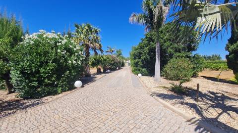 Moradia T3 +1 à venda na tranquila Luz de Tavira