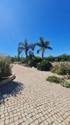 Moradia T3 +1 à venda na tranquila Luz de Tavira