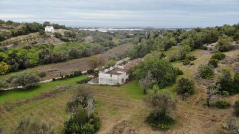 Terreno de 11ha, com casa para recuperar à venda em Santo Estevão Tavira