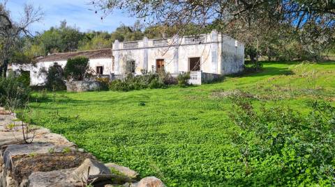 Terreno de 11ha, com casa para recuperar à venda em Santo Estevão Tavira