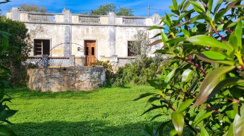 Terreno de 11ha, com casa para recuperar à venda em Santo Estevão Tavira