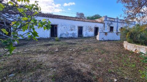 Terreno de 11ha, com casa para recuperar à venda em Santo Estevão Tavira