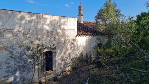 Terreno de 11ha, com casa para recuperar à venda em Santo Estevão Tavira