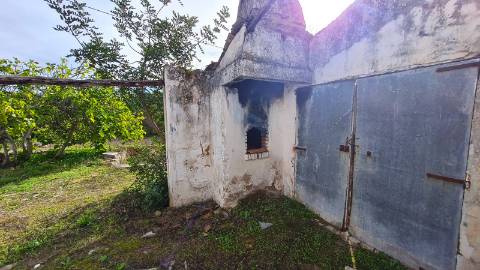 Terreno de 11ha, com casa para recuperar à venda em Santo Estevão Tavira