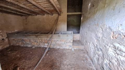 Terreno de 11ha, com casa para recuperar à venda em Santo Estevão Tavira