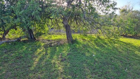 Terreno de 11ha, com casa para recuperar à venda em Santo Estevão Tavira