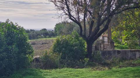 Terreno de 11ha, com casa para recuperar à venda em Santo Estevão Tavira