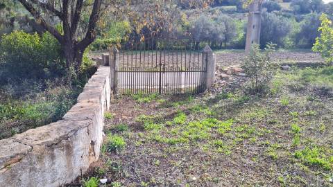 Terreno de 11ha, com casa para recuperar à venda em Santo Estevão Tavira
