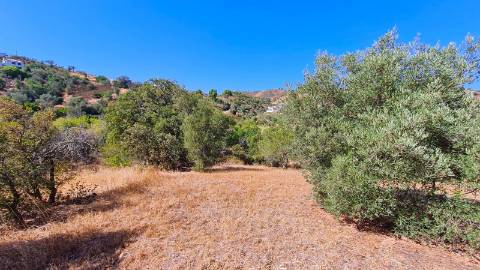 Propriedade rural com 2.125 m² perto Santa Catarina Tavira