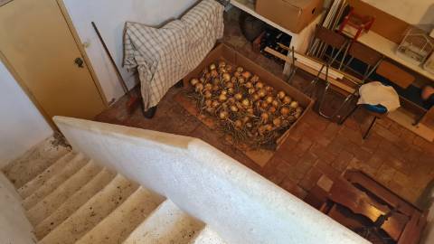 Propriedade rural com 2.125 m² perto Santa Catarina Tavira