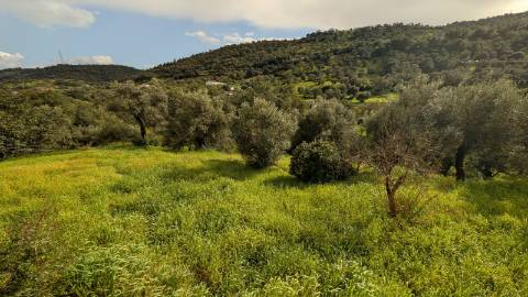 casa antiga à venda em S. Brás de Alportel