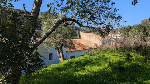 casa antiga à venda em S. Brás de Alportel