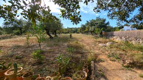 Casa de campo T2 + T1 à venda em Santo Estevão, Tavira