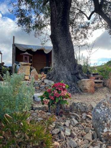 Terreno Rútico Autosuficiente, Moncarapacho Olhão