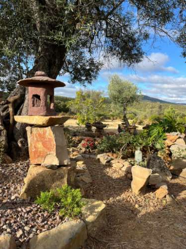 Terreno Rútico Autosuficiente, Moncarapacho Olhão