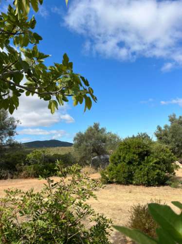 Terreno Rútico Autosuficiente, Moncarapacho Olhão