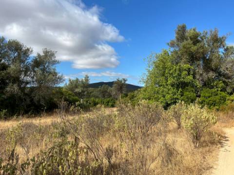 Terreno Rútico Autosuficiente, Moncarapacho Olhão