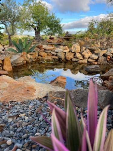 Terreno Rútico Autosuficiente, Moncarapacho Olhão