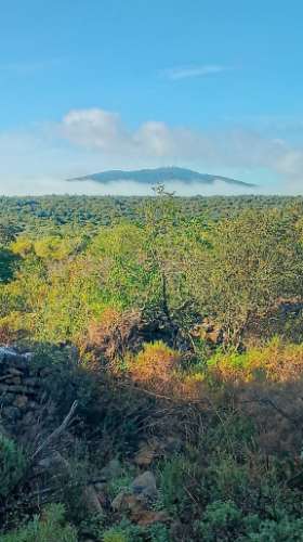 Terreno Rútico Autosuficiente, Moncarapacho Olhão