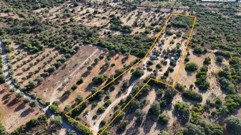 Terreno Rútico Autosuficiente, Moncarapacho Olhão