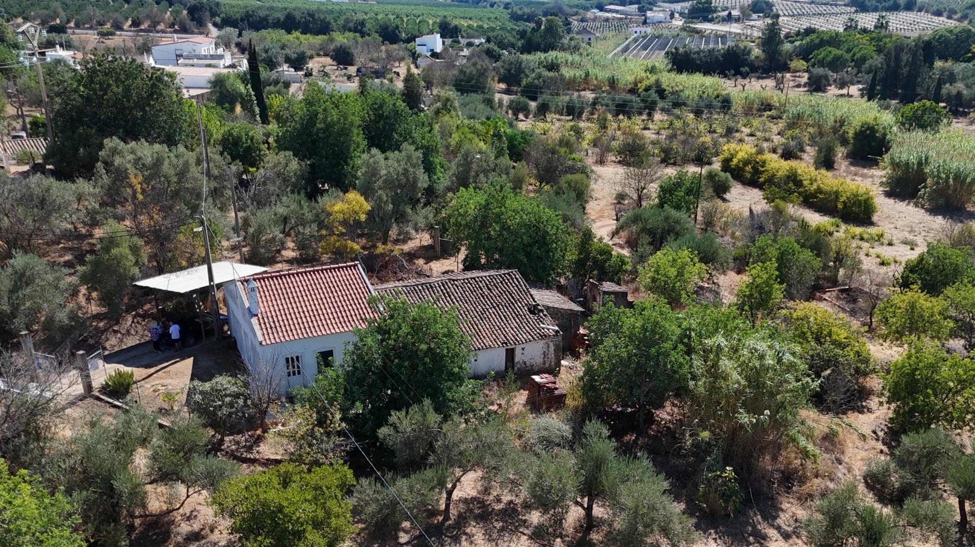 Quinta com grande potencial à venda em Santo Estêvão, Tavira
