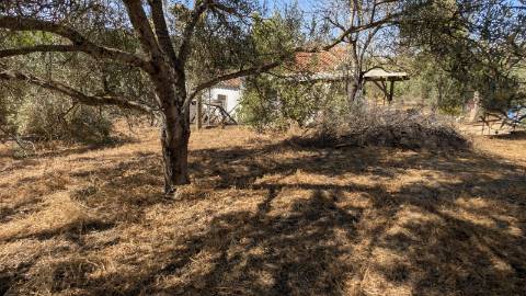 Quinta com grande potencial à venda em Santo Estêvão, Tavira
