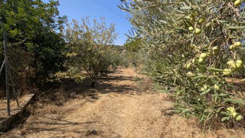 Quinta com grande potencial à venda em Santo Estêvão, Tavira