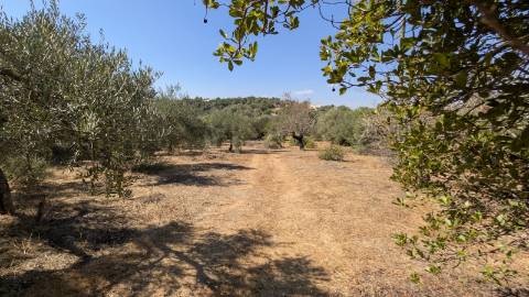 Quinta com grande potencial à venda em Santo Estêvão, Tavira