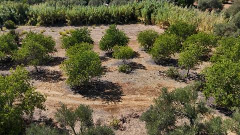 Quinta com grande potencial à venda em Santo Estêvão, Tavira