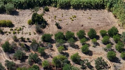 Quinta com grande potencial à venda em Santo Estêvão, Tavira