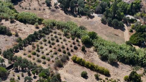 Quinta com grande potencial à venda em Santo Estêvão, Tavira