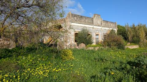 Quinta com 36.960m² à Venda na Fuseta - Oportunidade Única