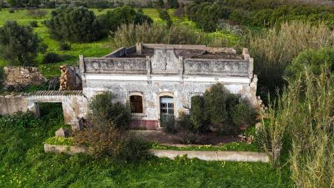 Quinta com 36.960m² à Venda na Fuseta - Oportunidade Única