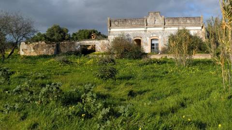 Quinta com 36.960m² à Venda na Fuseta - Oportunidade Única