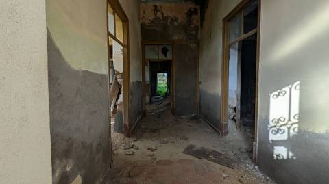 Quinta com 36.960m² à Venda na Fuseta - Oportunidade Única