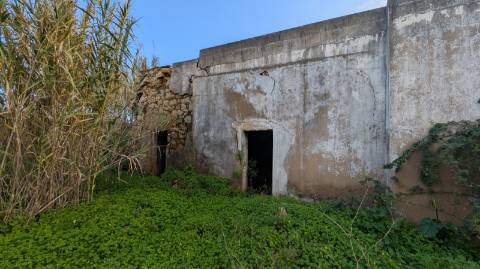 Quinta com 36.960m² à Venda na Fuseta - Oportunidade Única